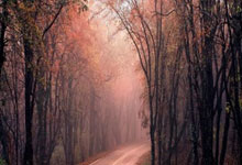 巴黎圣日耳曼与马赛将进行关键对决